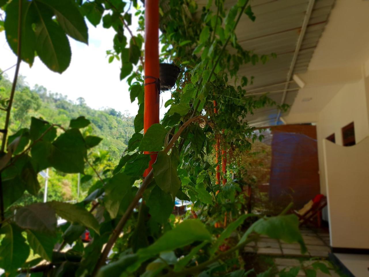 River House Ella Exterior foto